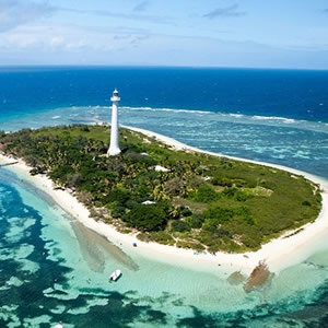 Phare Amedee